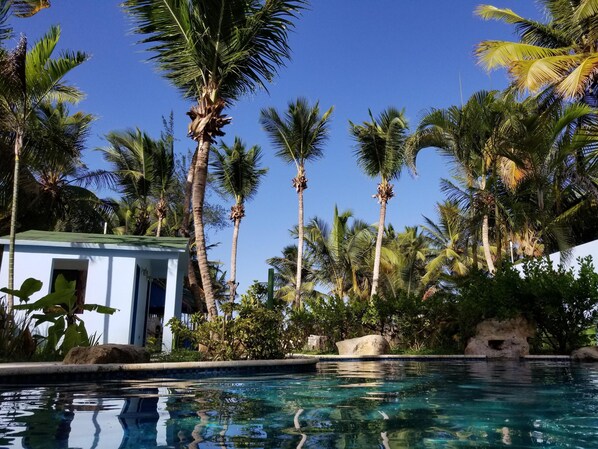 Piscine extérieure, piscine chauffée