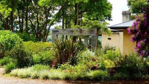 A garden with various plants and a wooden structure. - "Riverbend Suites" BYRON Hinterland Retreat (Rosebank)