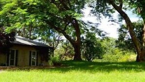 A house with a yellow exterior, surrounded by lush greenery and trees. - "Riverbend Suites" BYRON Hinterland Retreat (Rosebank)