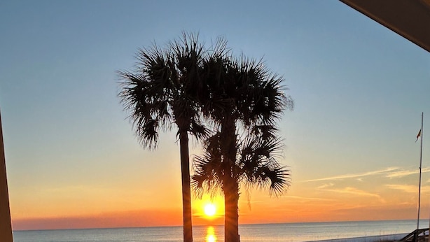 Un área de piscina con vista al atardecer sobre el océano, terraza de madera y una palmera.