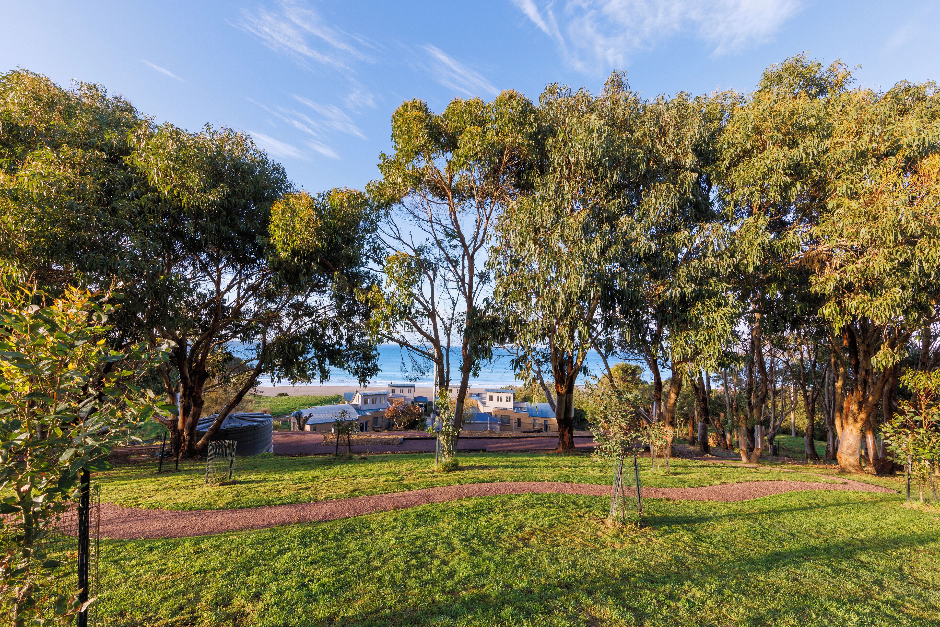 A park with a paved path, grassy areas, and trees.