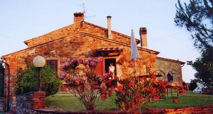 COZY HILLTOP APARTMENT WITH PRIVATE GARDEN BETWEEN SIENA AND VOLTERRA