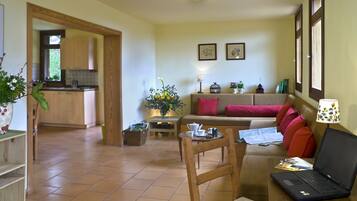 Een smart-tv, een dvd-speler, boeken en een filmbibliotheek