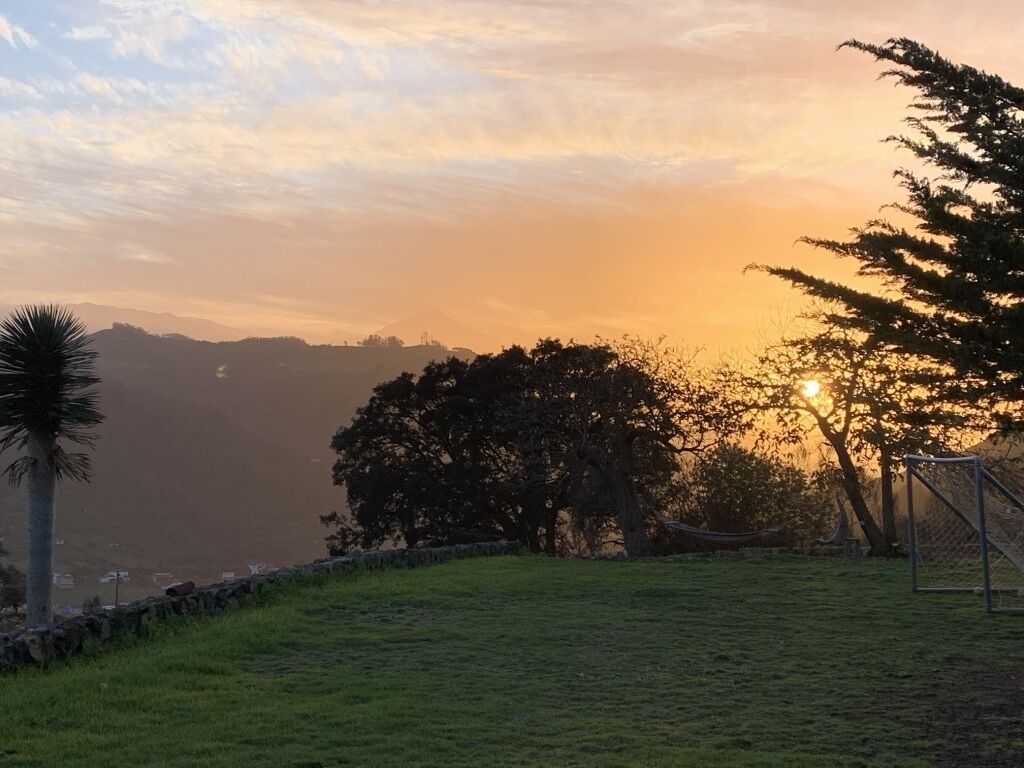 Un campo cubierto de hierba con un arco de fútbol, árboles y una puesta de sol al fondo.