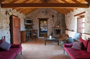 Télévision, cheminée, lecteur de DVD, livres