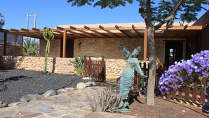 A patio area with a cactus, a statue, and a wooden pergola.