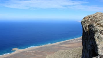 Toallas de playa