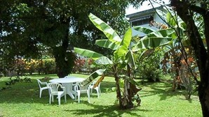 Un jardin avec une table et des chaises, entouré de bananiers et d’autres plantes vertes.