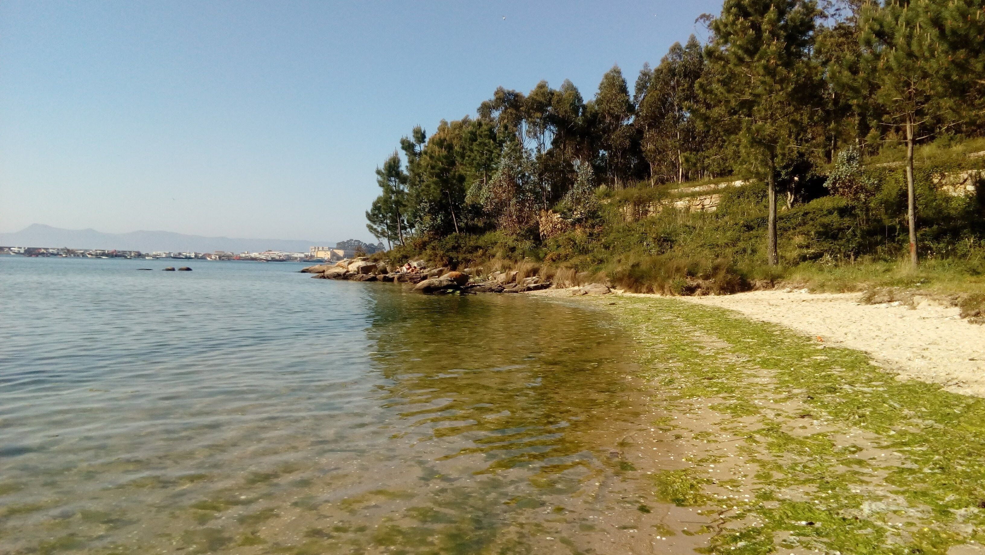 Playa