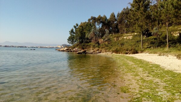 Playa