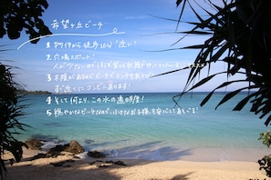 Beach nearby - Akizero Onnason (Onna)
