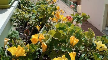 Detalle del exterior