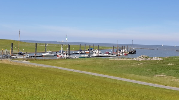 Photo non classée, 1 sur 13, bouton