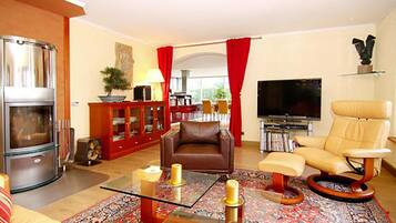 TV, fireplace, DVD player, books