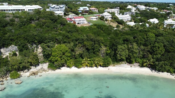 An aerial view of a coastal area with a beach, dense forest, and residential buildings.