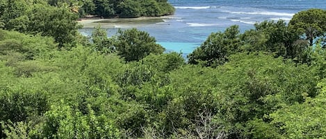 A lush green landscape with a view of the ocean and a small island.