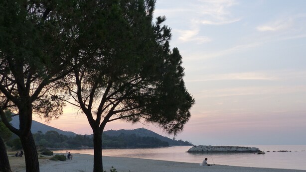 Ein Strand mit einem großen Baum im Vordergrund, ruhigem Wasser und fernen Bergen.