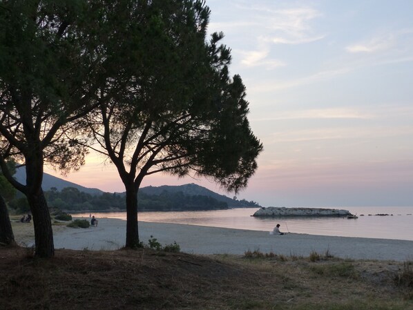 A beach with a large tree in the foreground, calm water, and distant mountains.