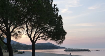 COMFORTABLE HOUSE IN THE HEART OF THE VINEYARDS of Patrimonio