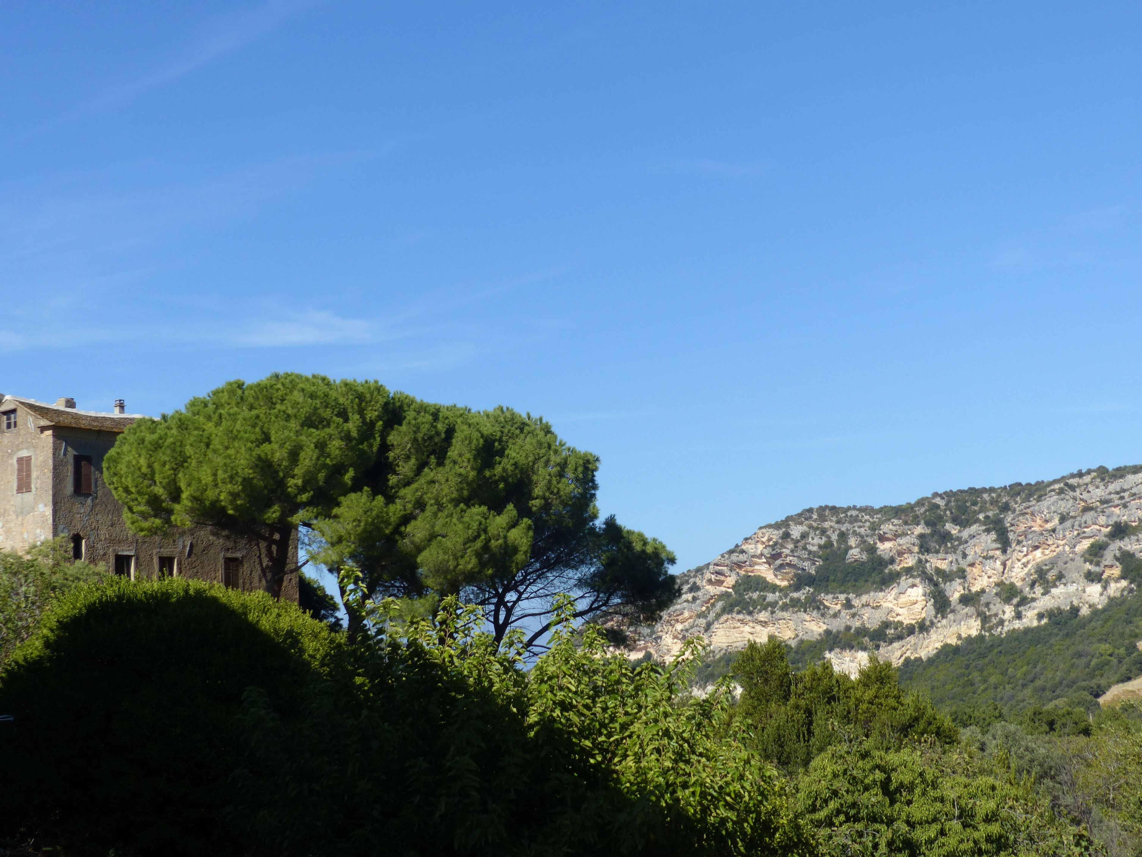 A building with a stone facade, surrounded by lush greenery and a mountainous backdrop.