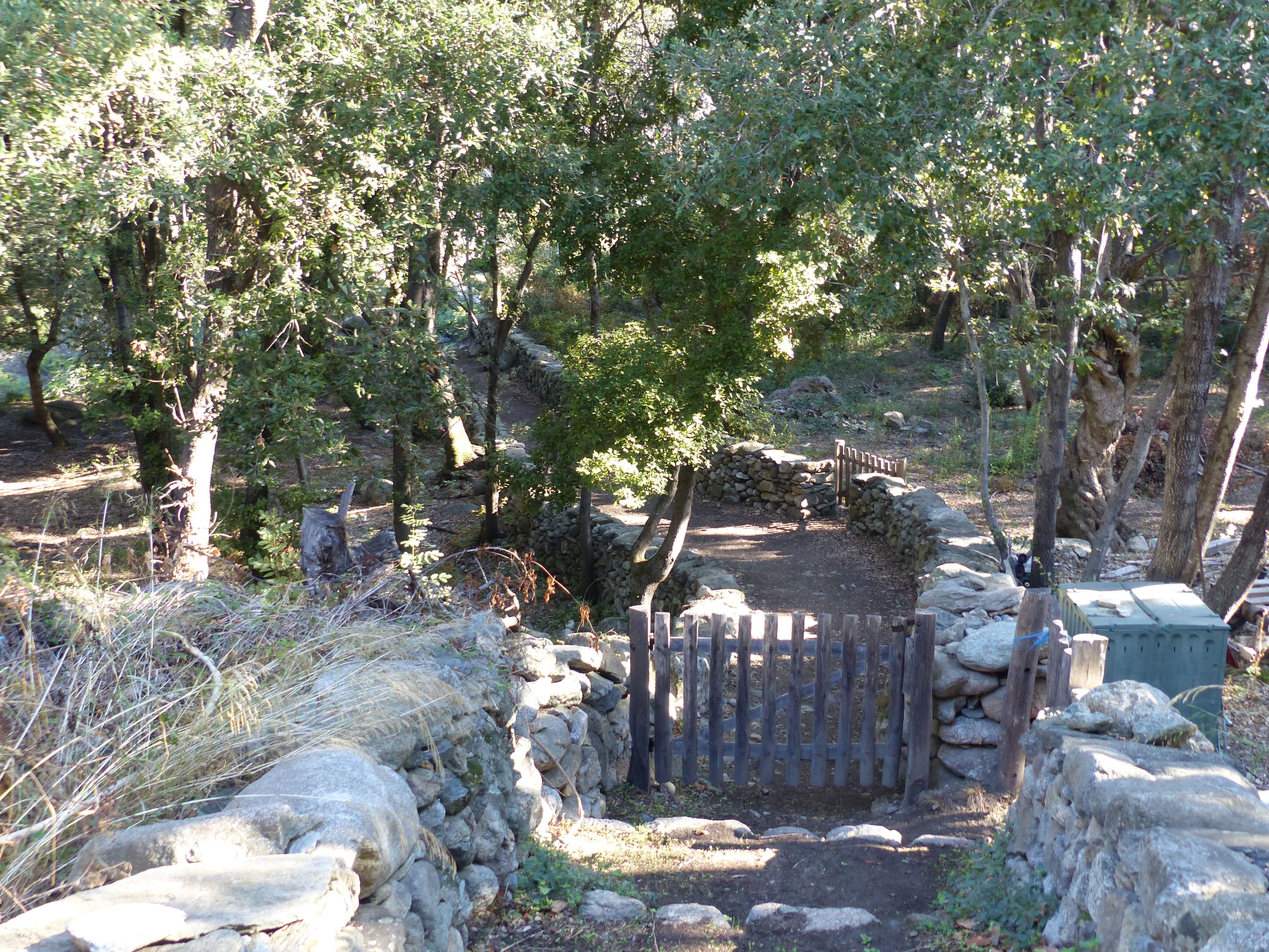 Une porte en bois rustique qui donne accès à une zone boisée, bordée de murs en pierre et traversée par un sentier de terre.