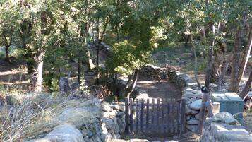 Une porte en bois rustique qui donne accès à une zone boisée, bordée de murs en pierre et traversée par un sentier de terre.