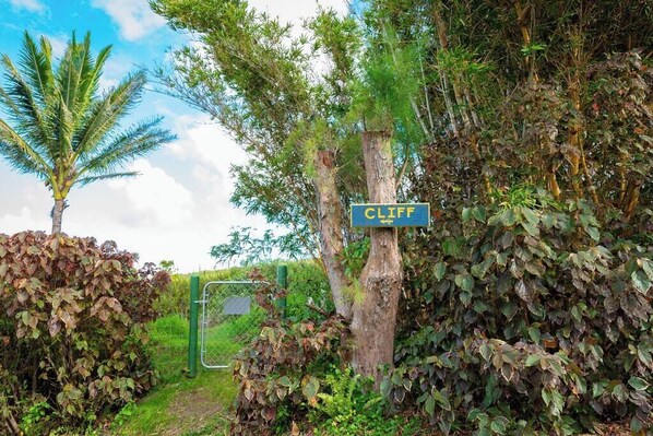 Una puerta con un cartel que dice 'CLIFF' y una palmera al fondo.