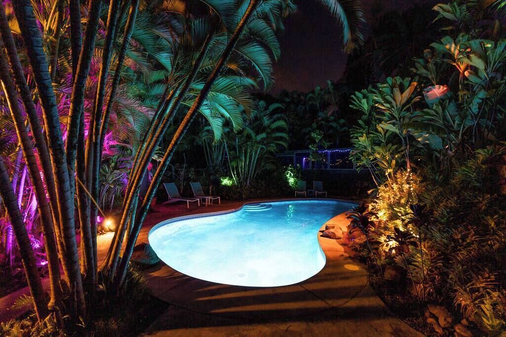 Una piscina envoltada de plantes tropicals i palmeres, amb unes quantes gandules i un camí que porta a un edifici.