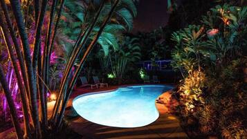 Una piscina envoltada de plantes tropicals i palmeres, amb unes quantes gandules i un camí que porta a un edifici.