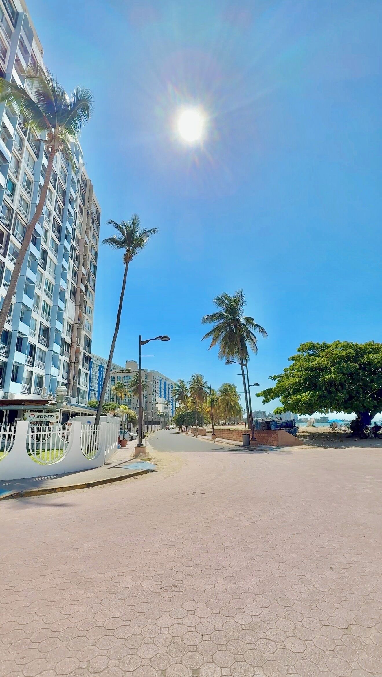 A sunny day at a beachfront with a high-rise hotel, palm trees, and a clear sky.