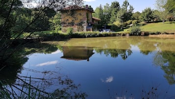 Ărea da propriedade