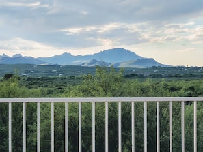 Property grounds - Serenity in Sunny Arizona with tons of birds and shade trees!  Bike Trail Galore (Tubac/Rio Rico)