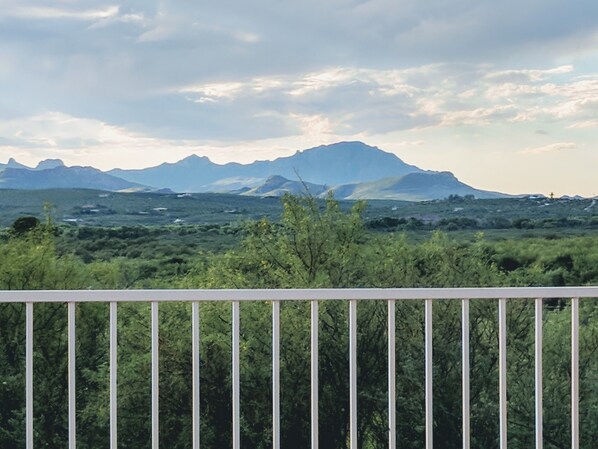 Property grounds - Serenity in Sunny Arizona with tons of birds and shade trees!  Bike Trail Galore (Tubac/Rio Rico)