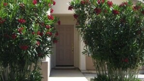 A building with a beige facade, a brown door, and a small circular window. There are two green shrubs with red flowers in front of the door. - Serenity in Sunny Arizona with tons of birds and shade trees!  Bike Trail Galore (Tubac/Rio Rico)