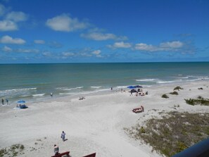 On the beach, sun-loungers, beach towels - Spectacular Oceanfront Condo with Sweeping Views! on the Gulf (Indian Rocks Beach)