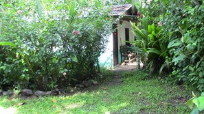 Property grounds - Quaint Little Cabina Located near all Services, Nestled in a Jungle Environment (Coronado de Osa)