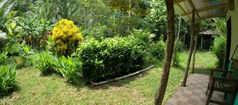 Petite cabine pittoresque située à proximité de tous les services, nichée dans un environnement de jungle