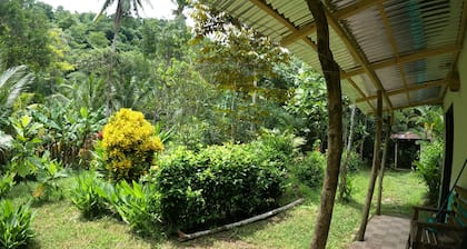 Quaint Little Cabina Located near all Services, Nestled in a Jungle Environment