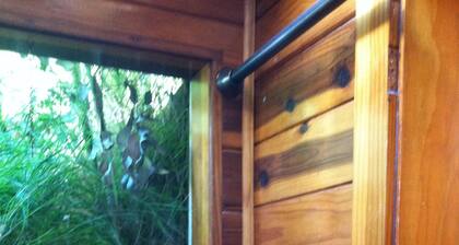 tourmaline beach studio