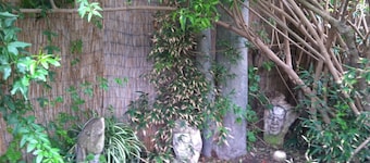 Tourmaline Beach Studio