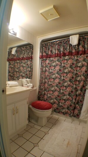 Hair dryer, towels - GREAT Rates! STAY A WEEK FOR 20% OFF at Silver Creek Studio ... Many Amenities!! (Snowshoe)