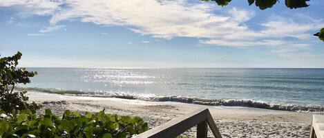 Sun loungers, beach towels