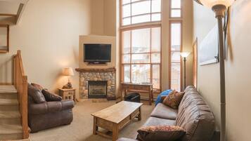 Télévision, cheminée, jeux vidéo, lecteur de DVD