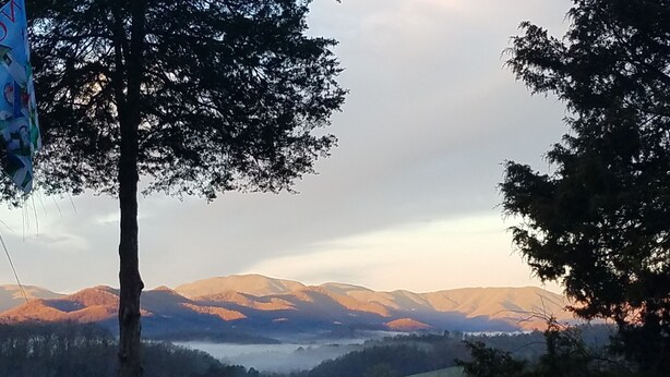 Un paysage montagneux avec une vallée et des arbres au premier plan.
