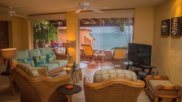 Smart TV, DVD player, books, video library