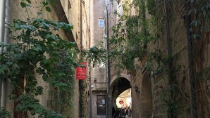 Une ruelle étroite pavée de pierres, bordée de bâtiments des deux côtés, dont certains sont recouverts de lierre. Des plantes en pot sont disposées le long du chemin.