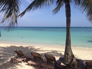 Plage, chaises longues, serviettes de plage