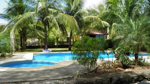 A swimming pool surrounded by palm trees and a small garden area.