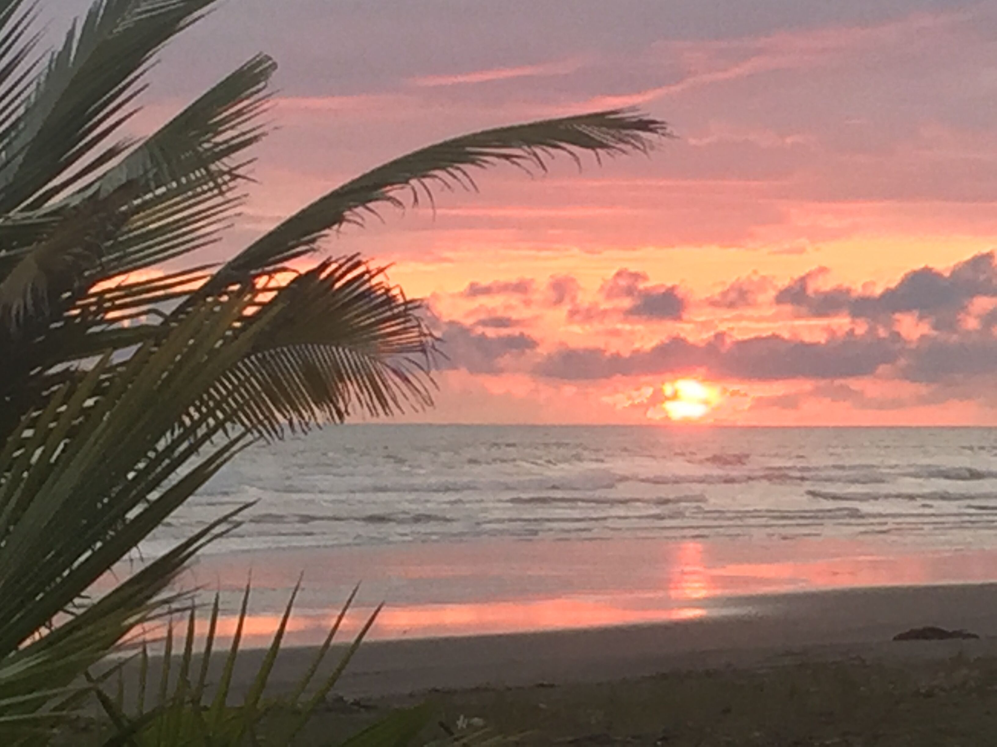 Ein Sonnenuntergang über dem Meer mit Palmen im Vordergrund.