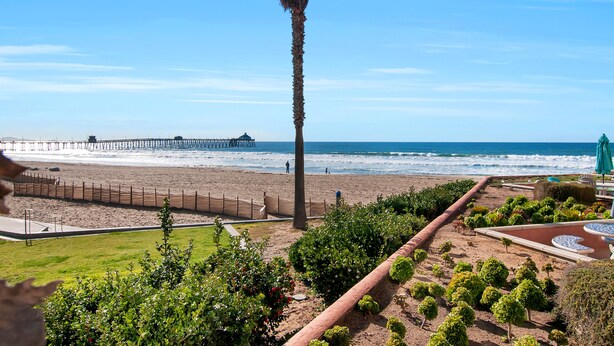 A beach view with a palm tree, a pier, and a landscaped garden area.